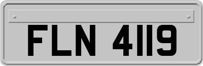 FLN4119