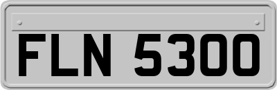 FLN5300