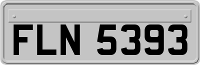 FLN5393