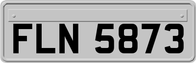 FLN5873