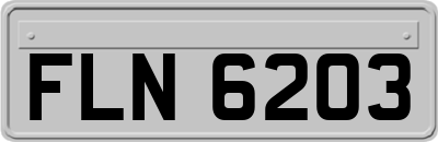 FLN6203