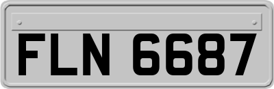 FLN6687