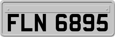 FLN6895