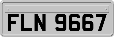 FLN9667