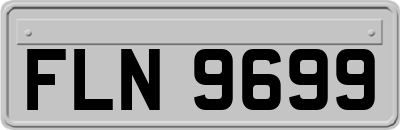 FLN9699