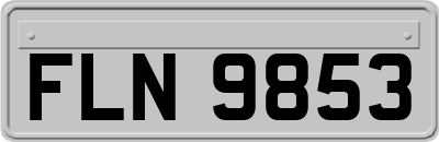 FLN9853