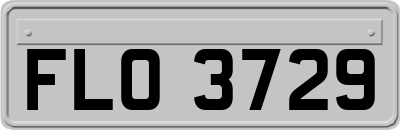 FLO3729