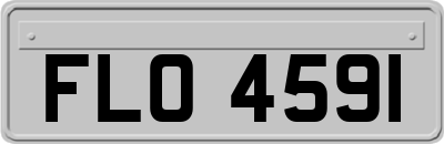 FLO4591