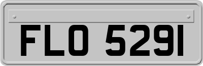 FLO5291