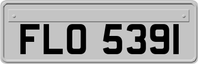 FLO5391
