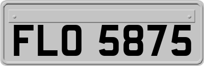 FLO5875