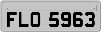 FLO5963