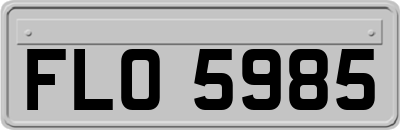 FLO5985