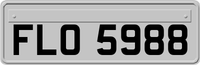 FLO5988