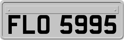 FLO5995