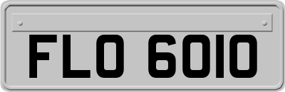 FLO6010