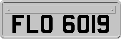 FLO6019