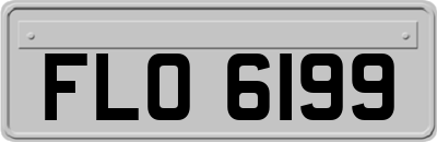 FLO6199