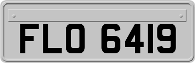 FLO6419