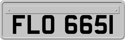 FLO6651