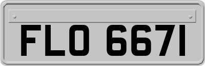 FLO6671