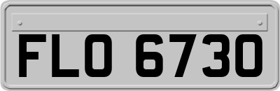 FLO6730