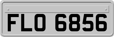 FLO6856