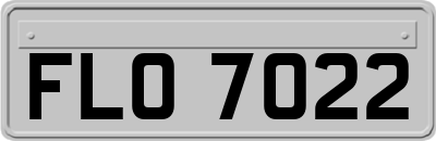 FLO7022