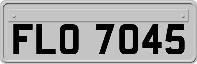 FLO7045