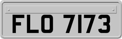 FLO7173