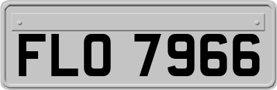 FLO7966