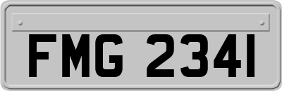 FMG2341