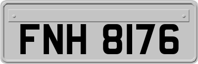 FNH8176