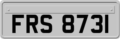 FRS8731