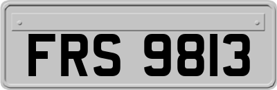 FRS9813