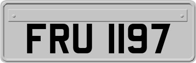 FRU1197