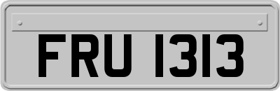 FRU1313