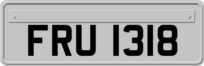 FRU1318