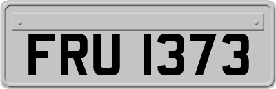 FRU1373