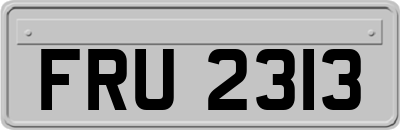 FRU2313