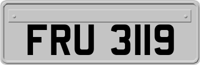 FRU3119