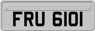FRU6101