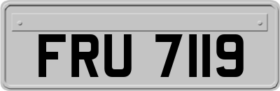 FRU7119