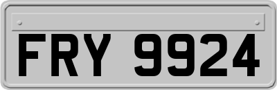 FRY9924