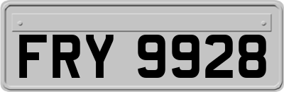 FRY9928