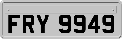 FRY9949