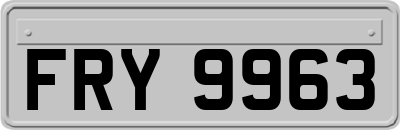 FRY9963
