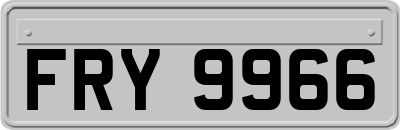 FRY9966