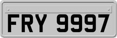 FRY9997