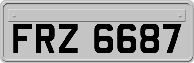 FRZ6687